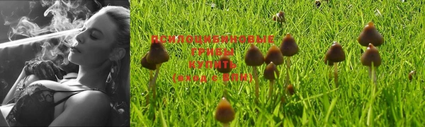 МДМА Абдулино