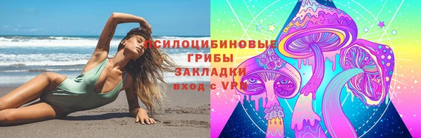 твердый Алзамай