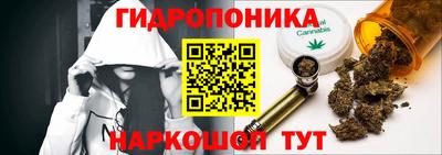 винт Обь